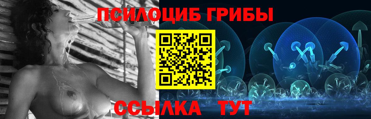 Псилоцибиновые грибы GOLDEN TEACHER Алейск